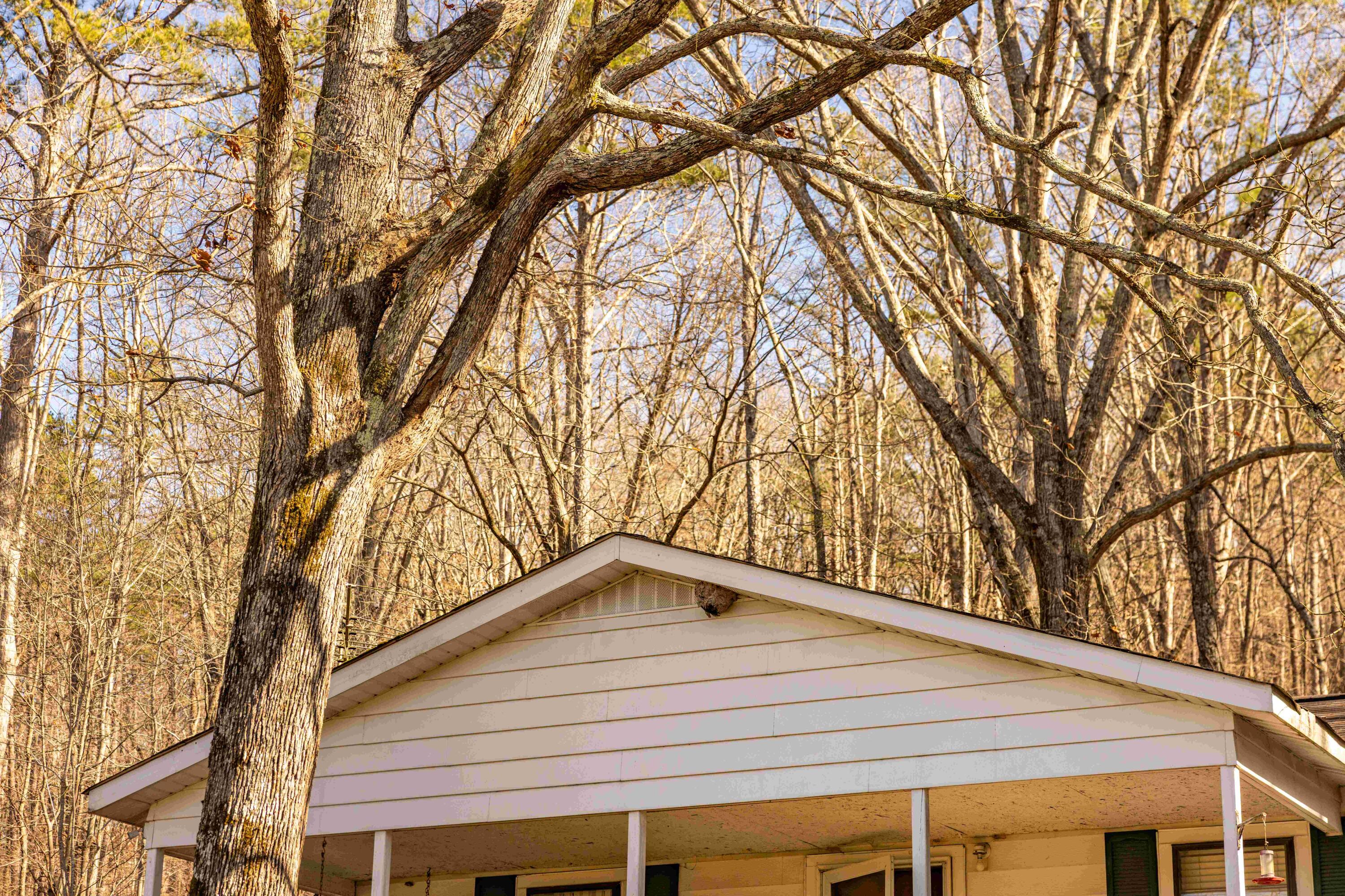 2582 Salem Valley Road Ringgold, GA 30736 - Photo 4 of 48 Final-7105