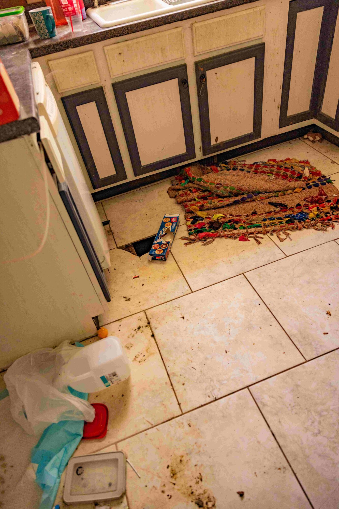 2582 Salem Valley Road Ringgold, GA 30736 - Photo 42 of 48 Final-7159