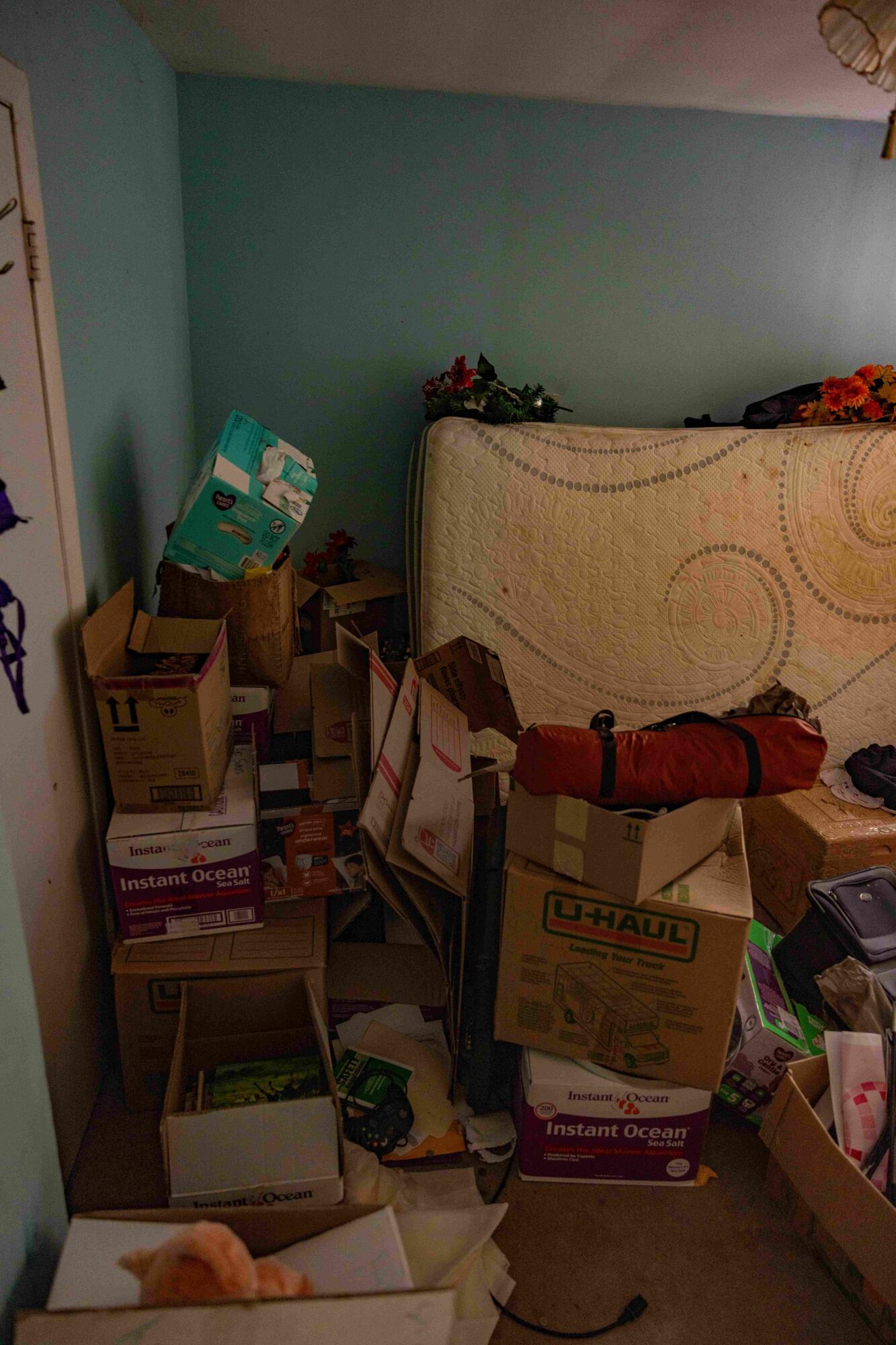 2582 Salem Valley Road Ringgold, GA 30736 - Photo 48 of 48 Final-7175