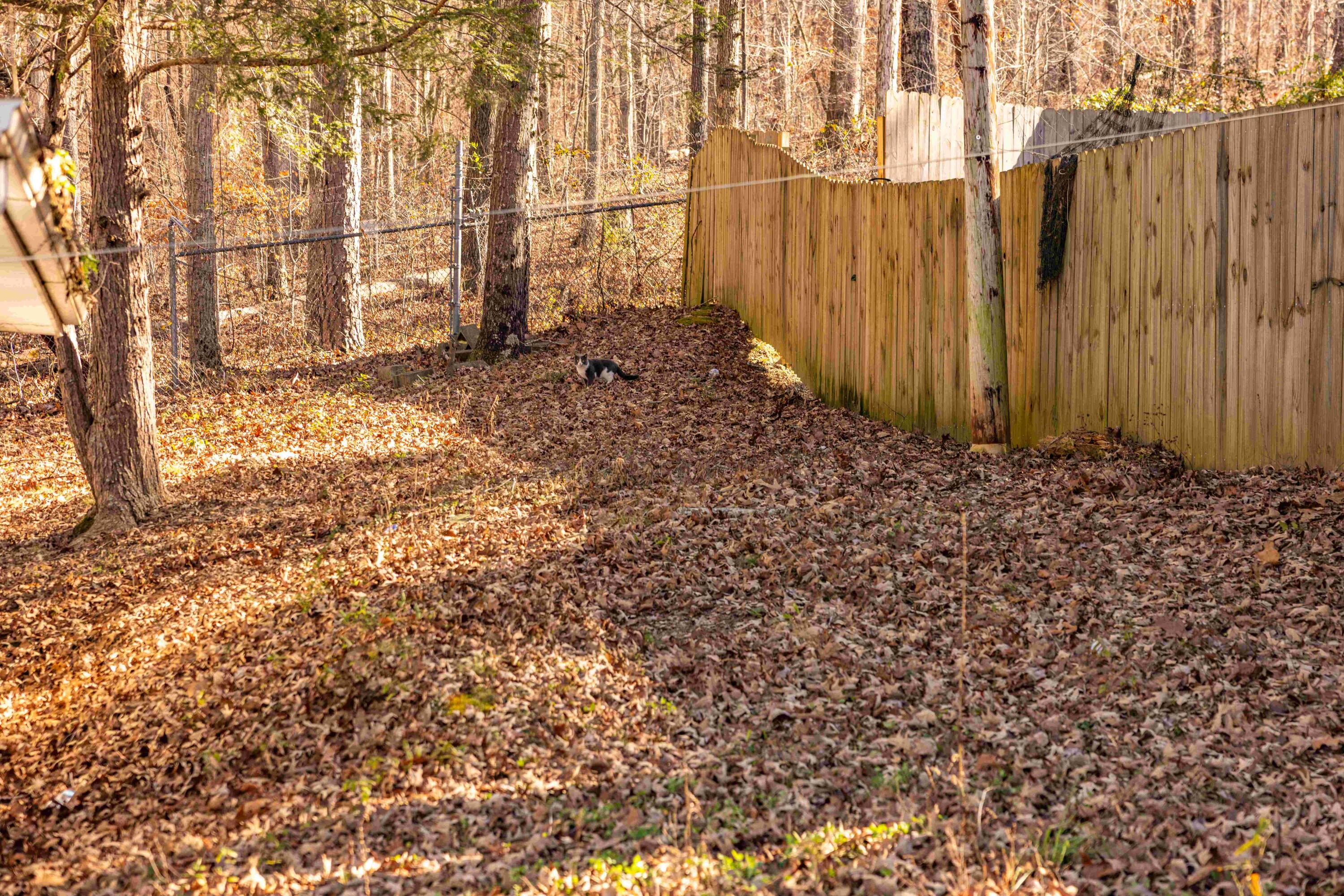 2582 Salem Valley Road Ringgold, GA 30736 - Photo 7 of 48 Final-7117