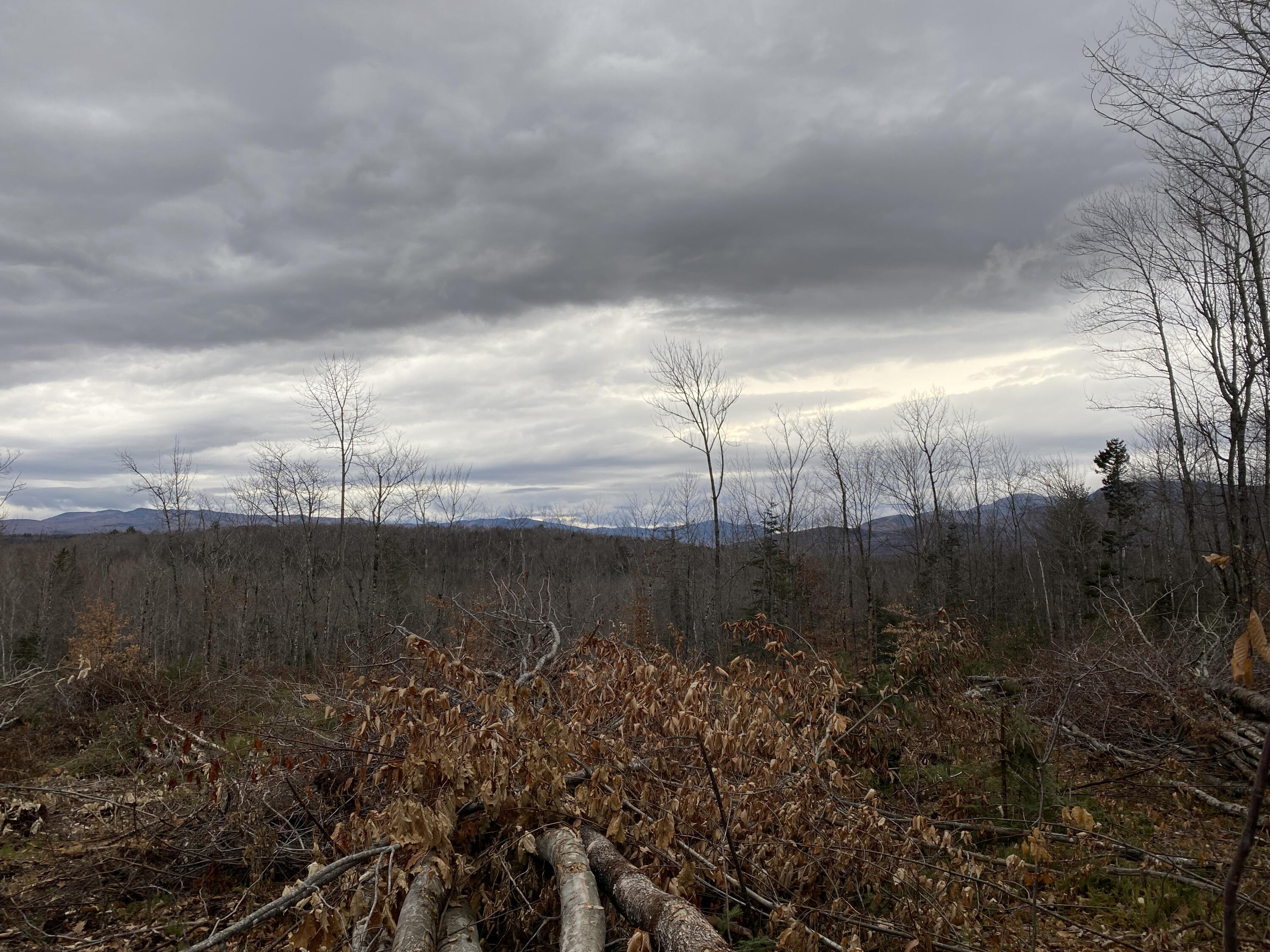 121 Brown Neighborhood Road Weld, ME 04285 - Photo 2 of 8 Photo Nov 22, 3 12 50 PM