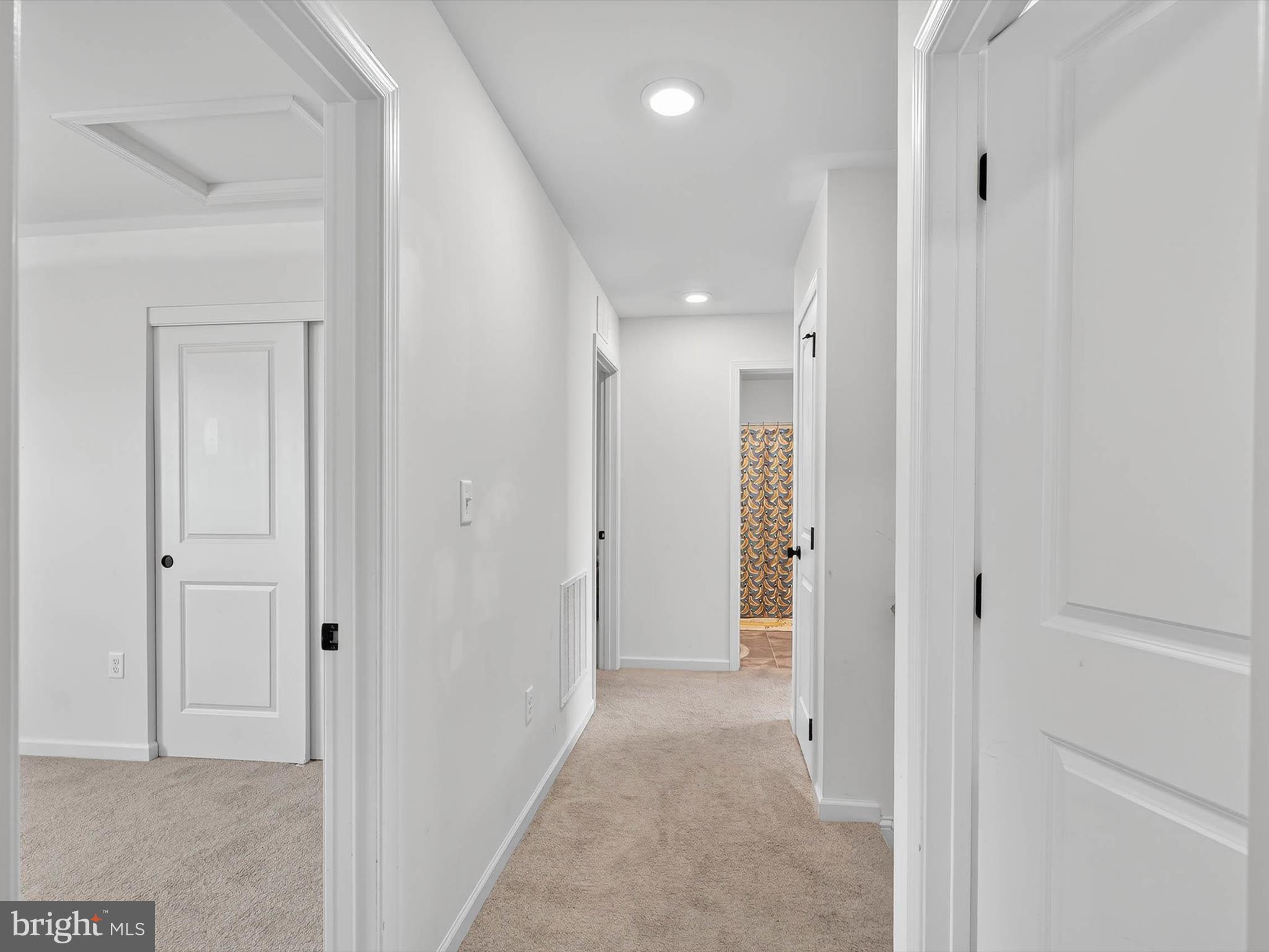 29 Ladderback Lane Reading, PA 19606 - Photo 29 of 60 a view of a hallway with closet and bathroom