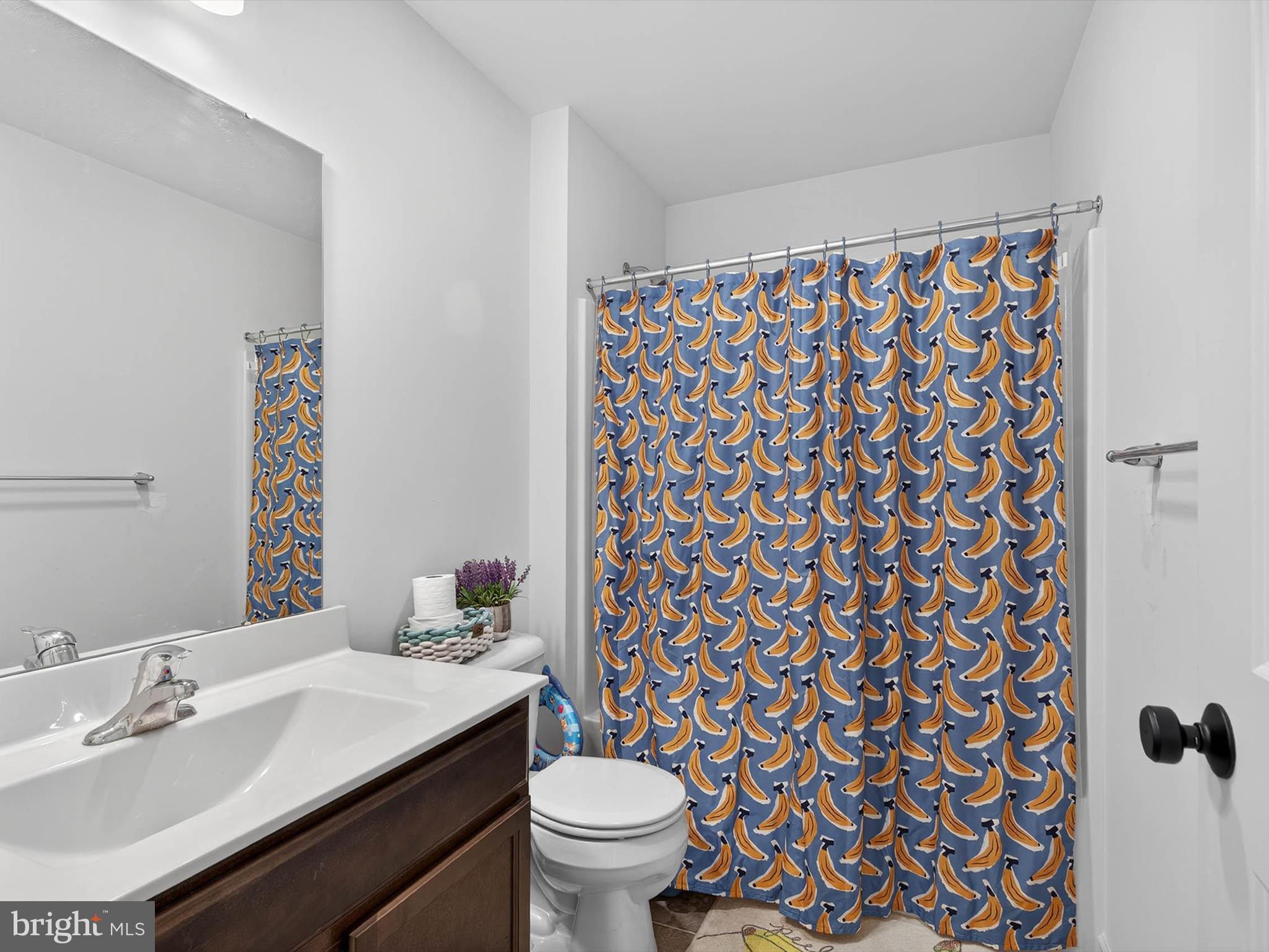 29 Ladderback Lane Reading, PA 19606 - Photo 39 of 60 a bathroom with a sink toilet and a mirror