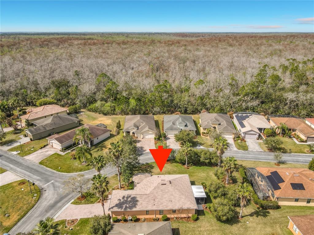 314 Scripps Ranch Road Poinciana, FL 34759 - Photo 39 of 46 Gallery Image 39