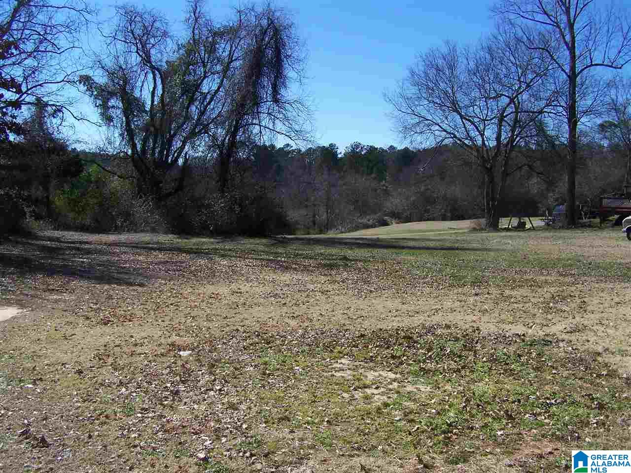 985 Clevet Springs Road Hayden, AL 35079 - Photo 6 of 6
