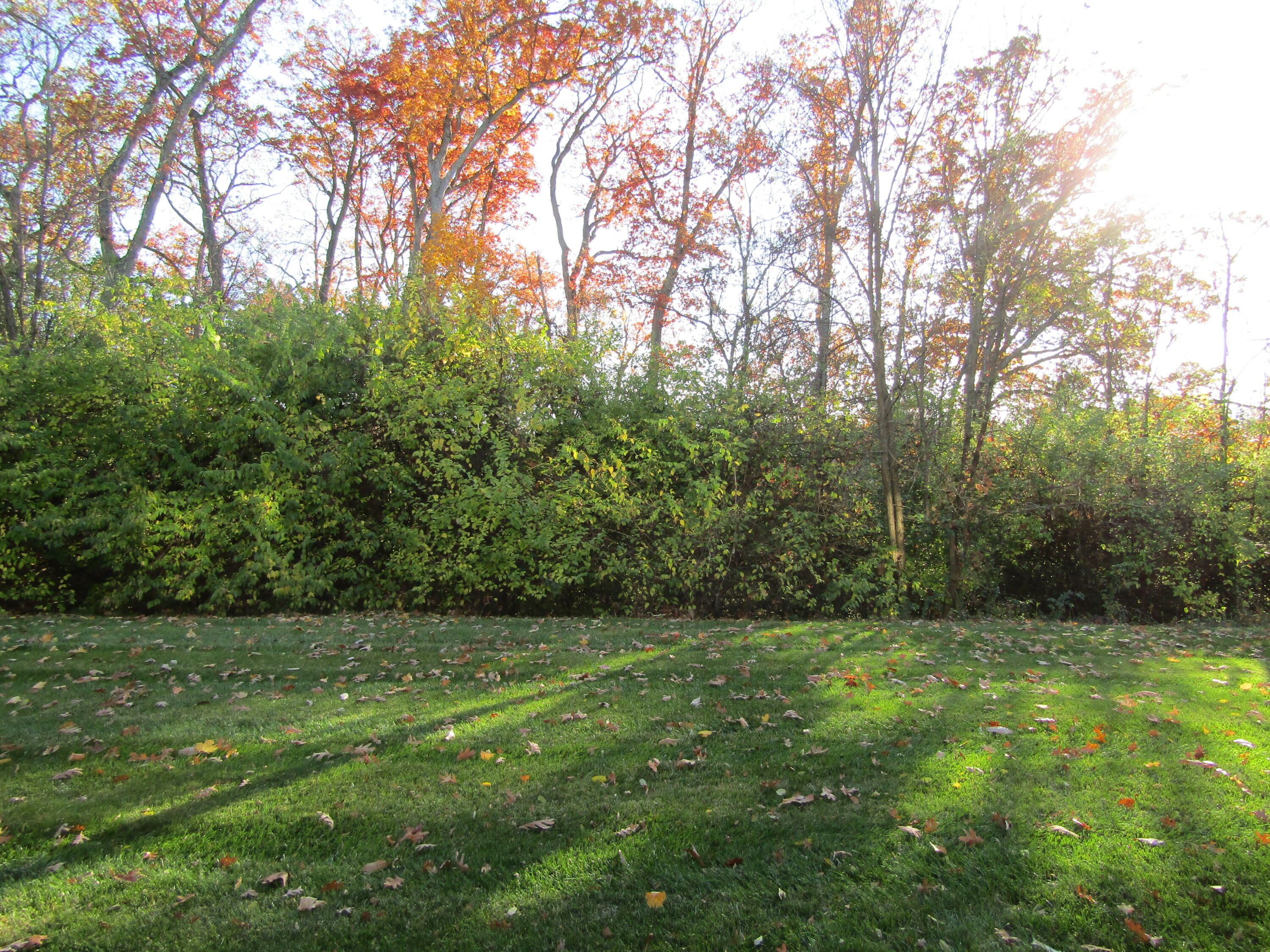 148 Hidden Ridge Court Cold Spring, KY 41076 - Photo 20 of 25 Gallery Image 20