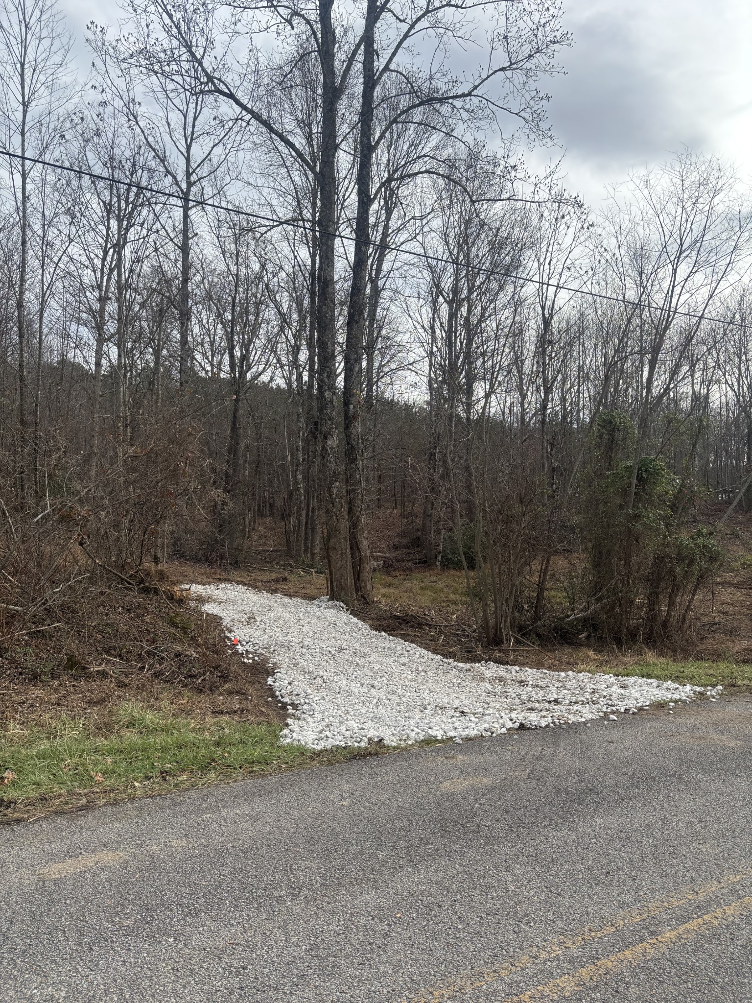 0 Browns Hollow Road Tracy City, TN 37387 - Photo 1 of 11 a wooden bench sitting in middle of a yard
