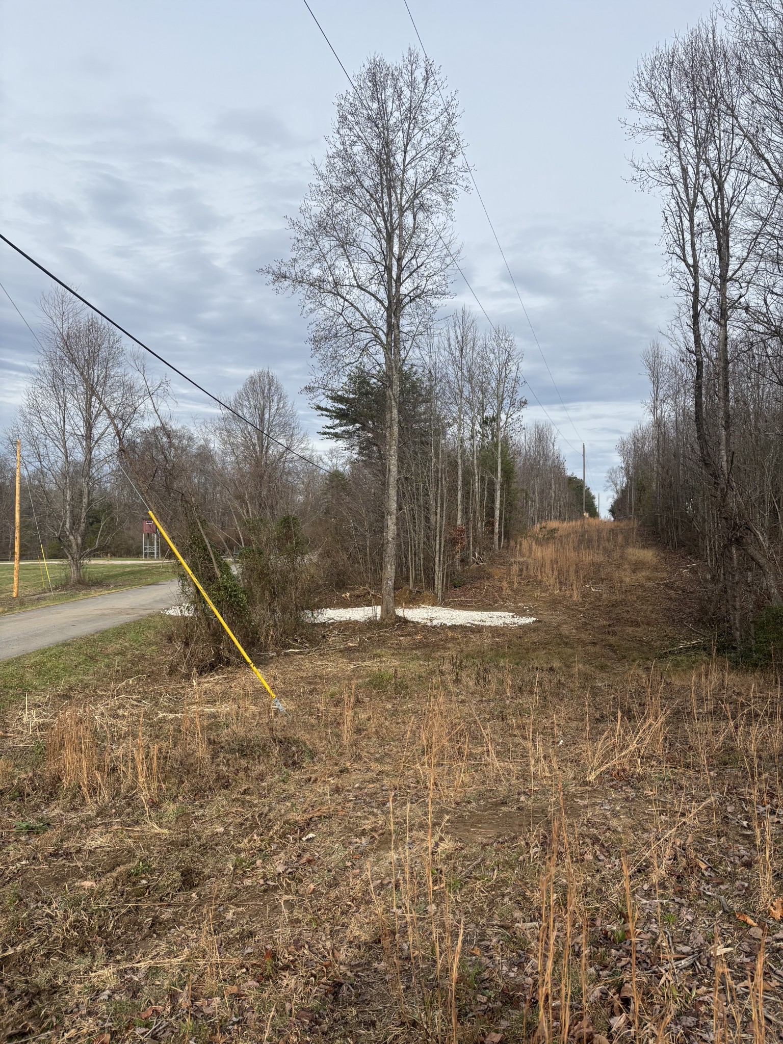 0 Browns Hollow Road Tracy City, TN 37387 - Photo 4 of 11 a view of a park