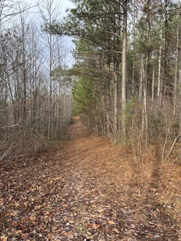 $273,000 | 0 Browns Hollow Road, Tracy City, TN 37387