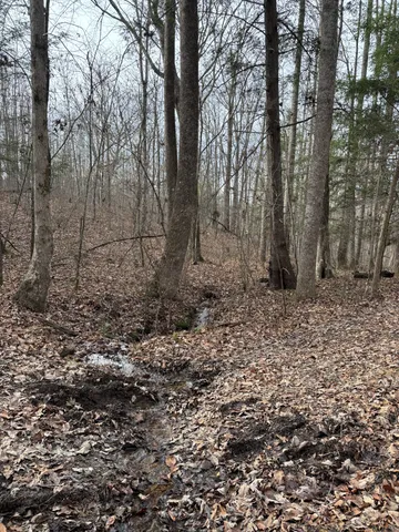 $273,000 | 0 Browns Hollow Road, Tracy City, TN 37387