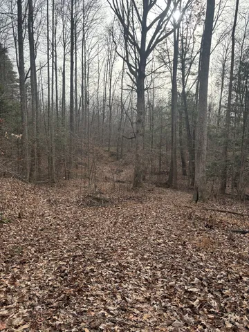$273,000 | 0 Browns Hollow Road, Tracy City, TN 37387