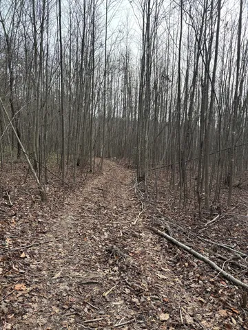 $273,000 | 0 Browns Hollow Road, Tracy City, TN 37387