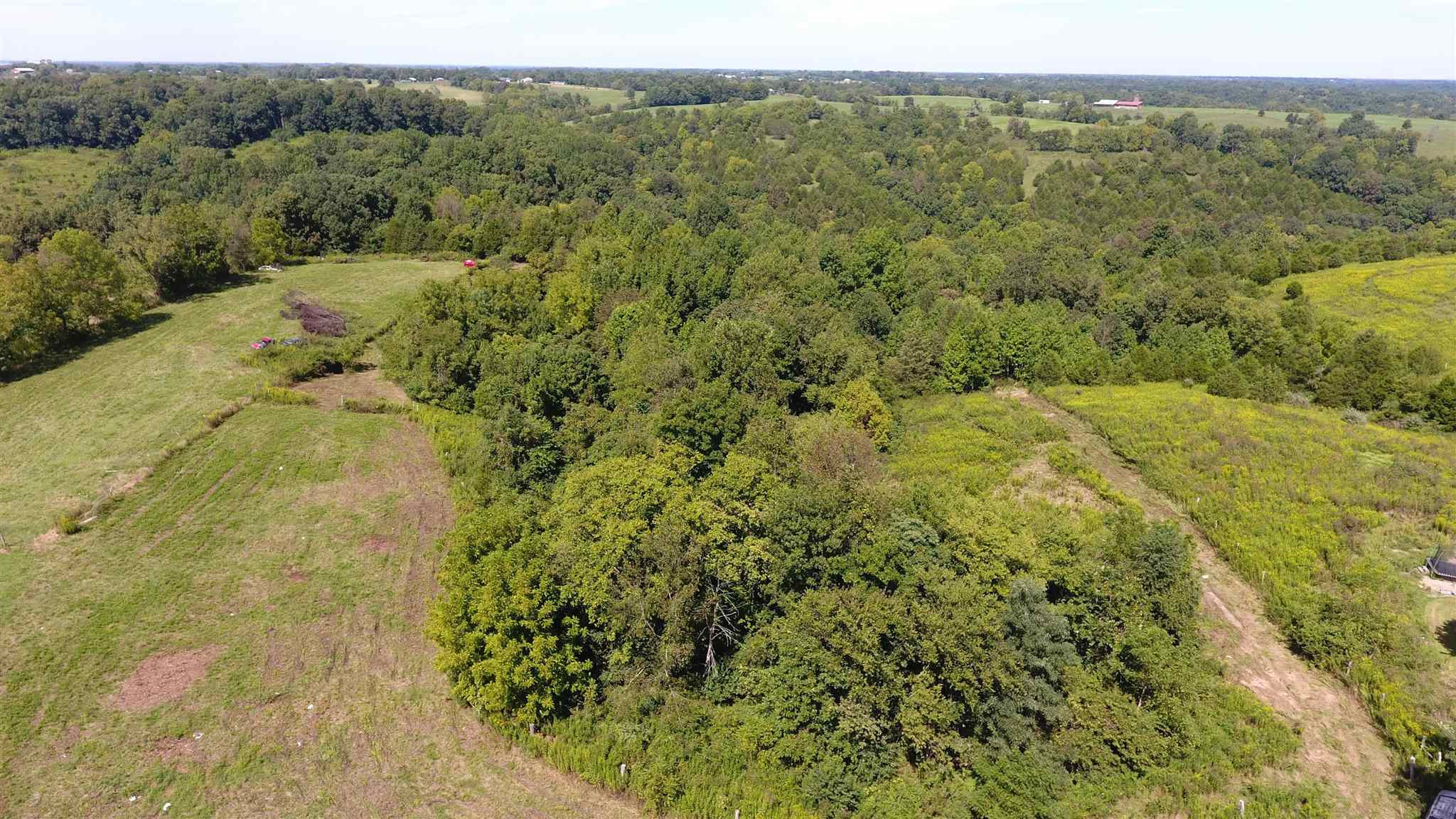 59.02 Acres Stewart Ridge Road Sparta, KY 41086 - Photo 7 of 30