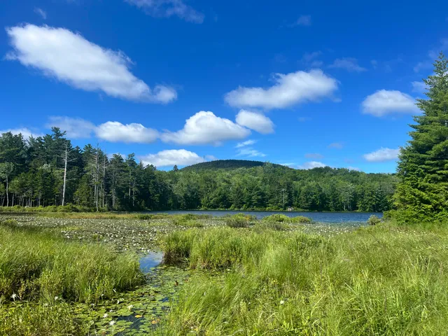 $109,000 | 0 Pine Hill Lane, Blue Hill, ME 04614