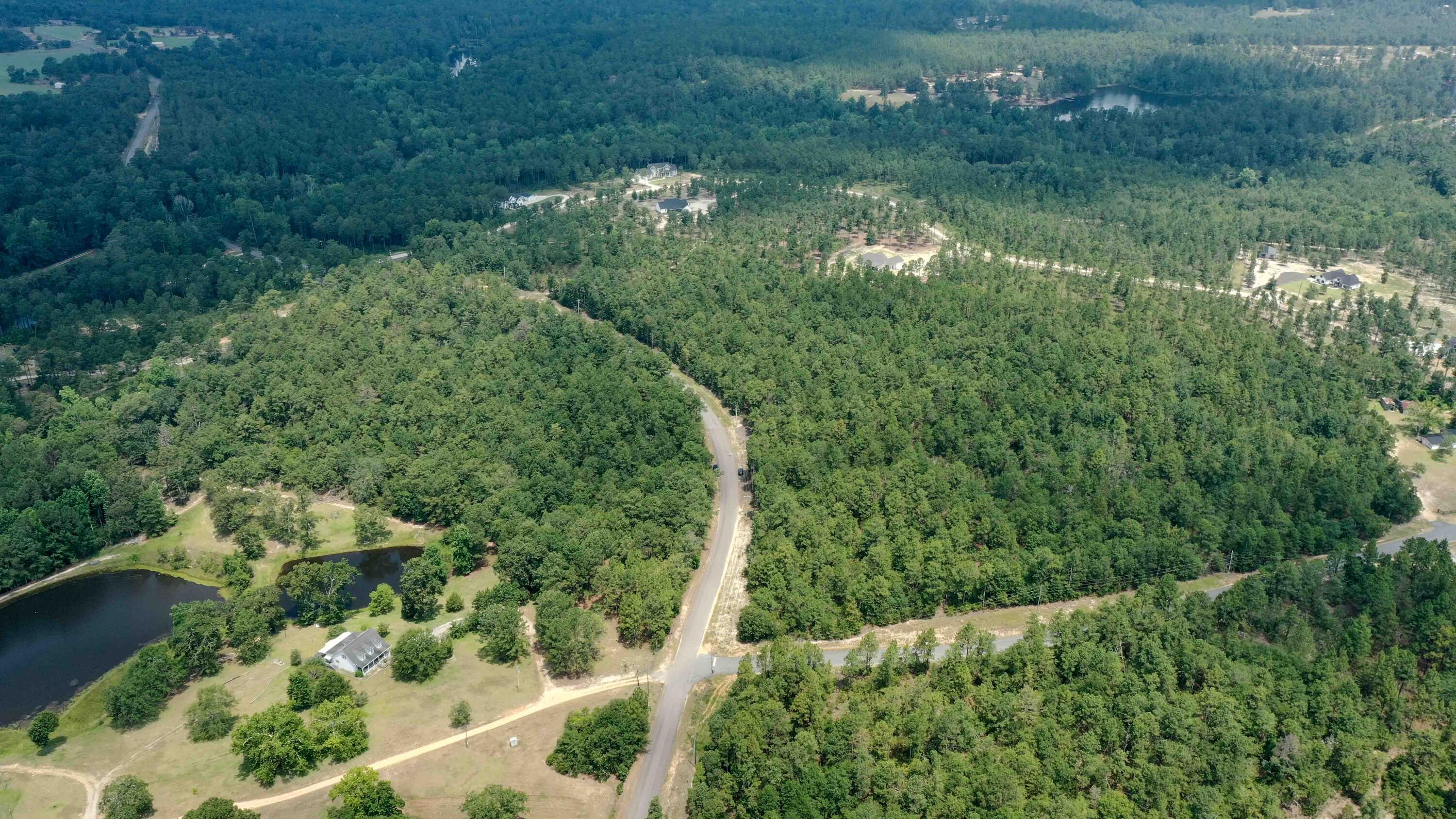 7 Mt Zion Road Williston, SC 29853 - Photo 2 of 15