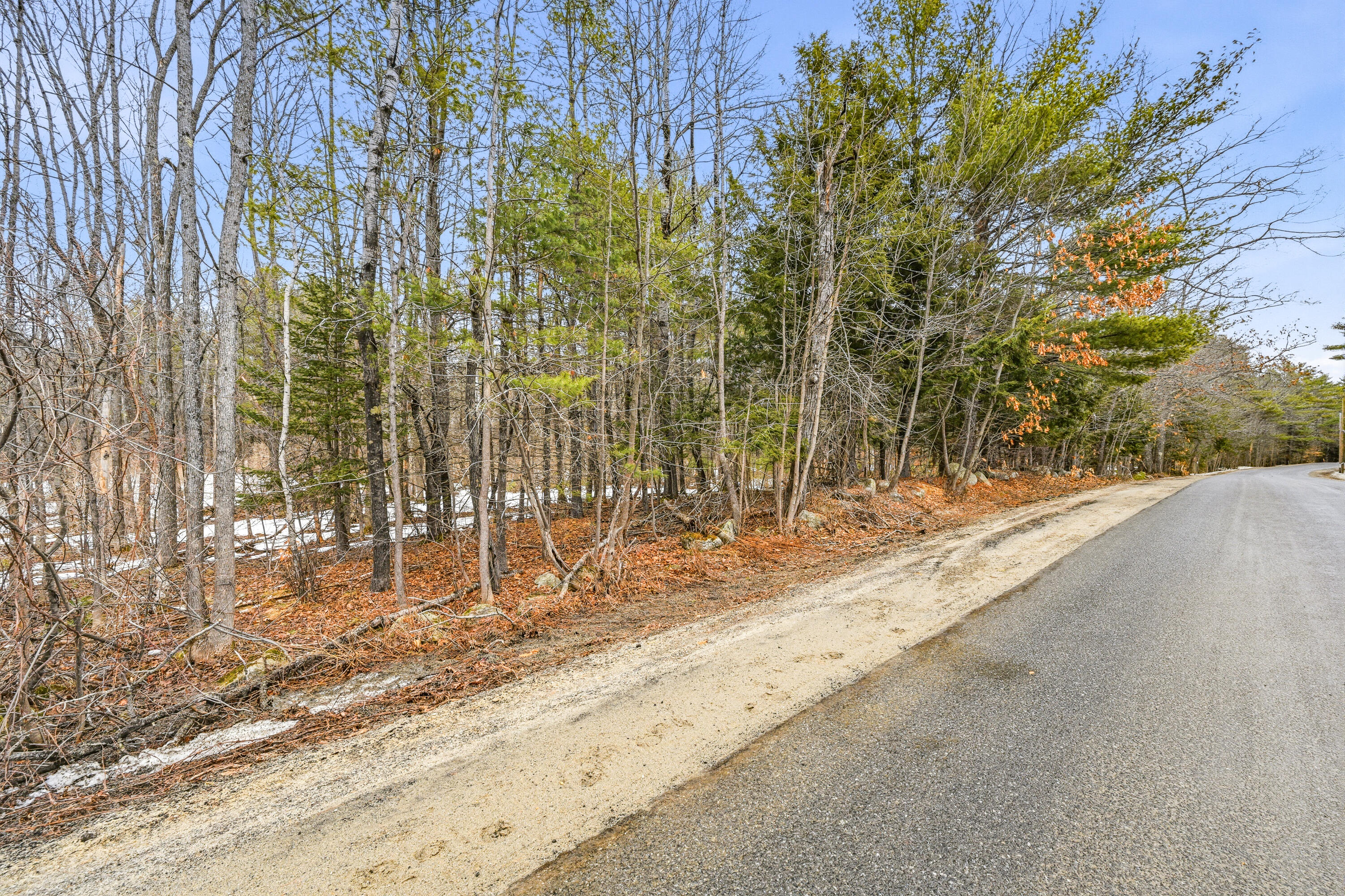 Lot 28 Lunts Hill Road Litchfield, ME 04350 - Photo 10 of 26 110409gr-105
