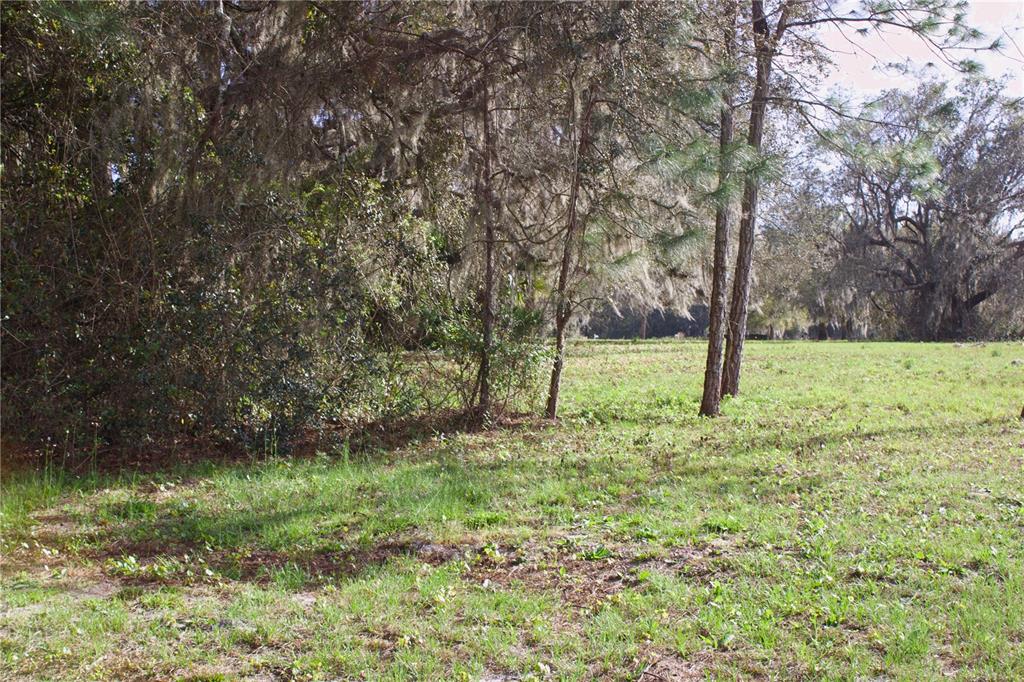 Ridge Road, Unit 47 Tavares, FL 32778 - Photo 20 of 41