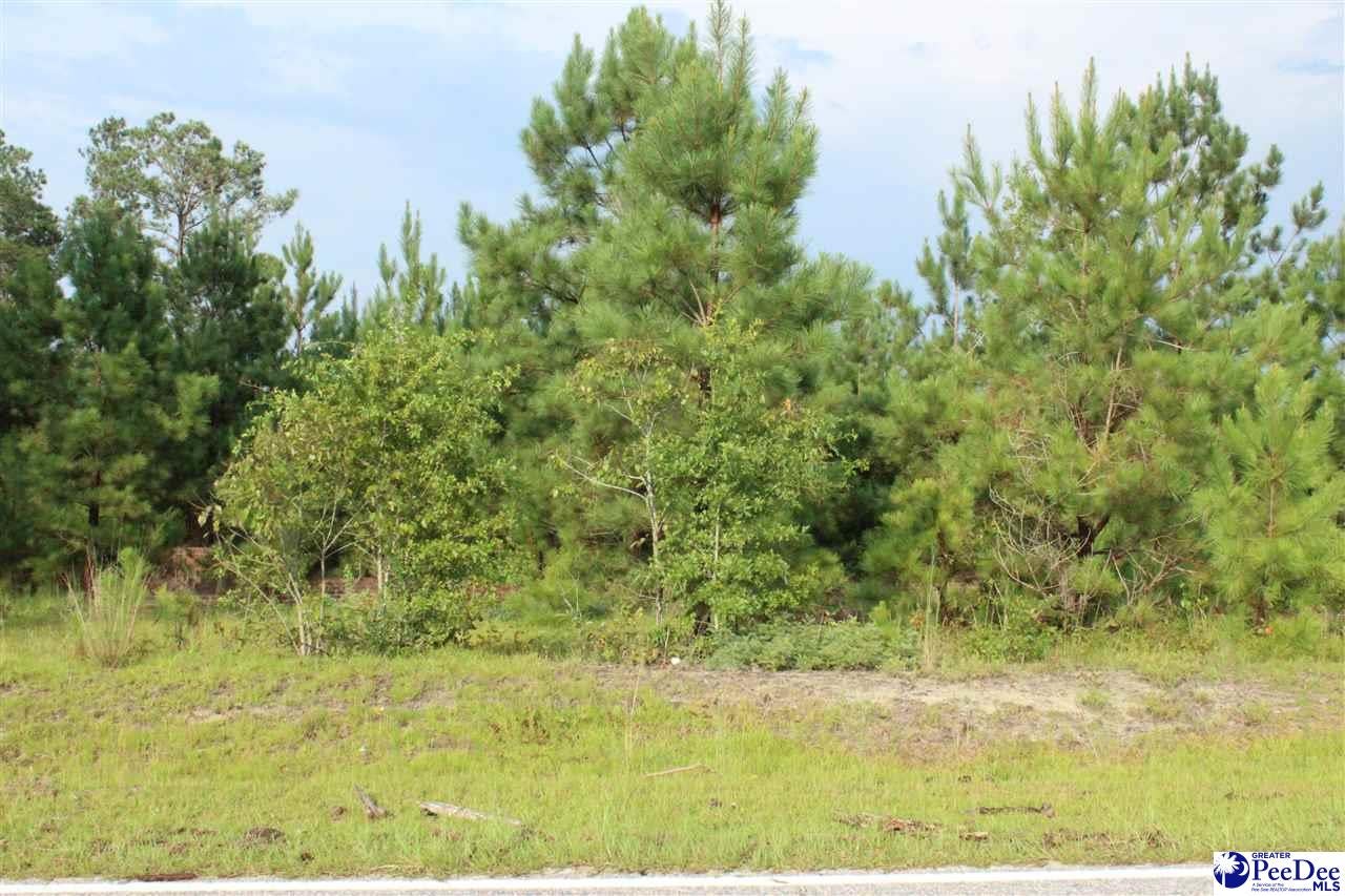 17-ac West Plantation Road Lake City, SC 29560 - Photo 1 of 1 Gallery Image 1