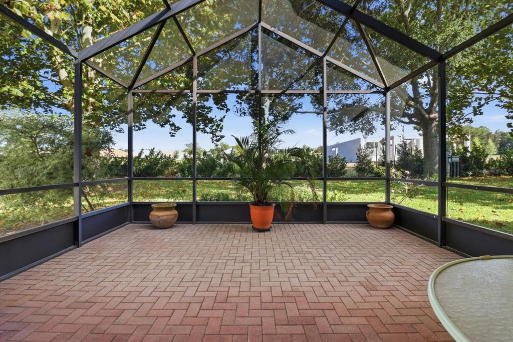 1196 West Diamond Shore Loop Hernando, FL 34442 - Photo 33 of 40 a view of a garden with patio