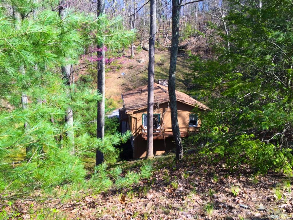 1842 Jonesborough Road Erwin, TN 37650 - Photo 6 of 35 Photo 6