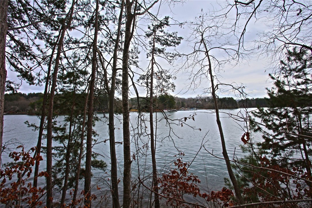 Lot 131 Harbor Point Seneca, SC 29672 - Photo 19 of 48 This serene lake view offers tranquil waters and natural surroundings, creating a peaceful outdoor retreat.