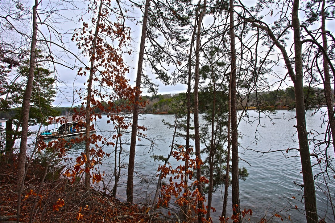 Lot 131 Harbor Point Seneca, SC 29672 - Photo 20 of 48 This serene waterfront property offers tranquil views through natural woodlands.