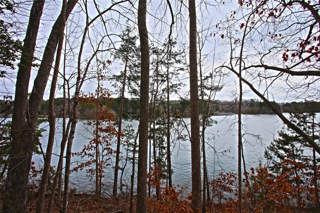 Lot 131 Harbor Point Seneca, SC 29672 - Photo 22 of 48 This tranquil waterfront property offers picturesque views and a serene natural setting.
