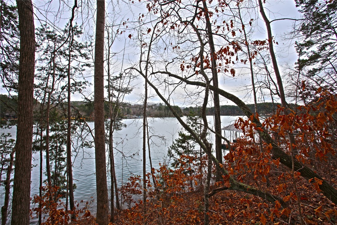 Lot 131 Harbor Point Seneca, SC 29672 - Photo 23 of 48 This tranquil waterfront setting provides a peaceful retreat amidst natural beauty.