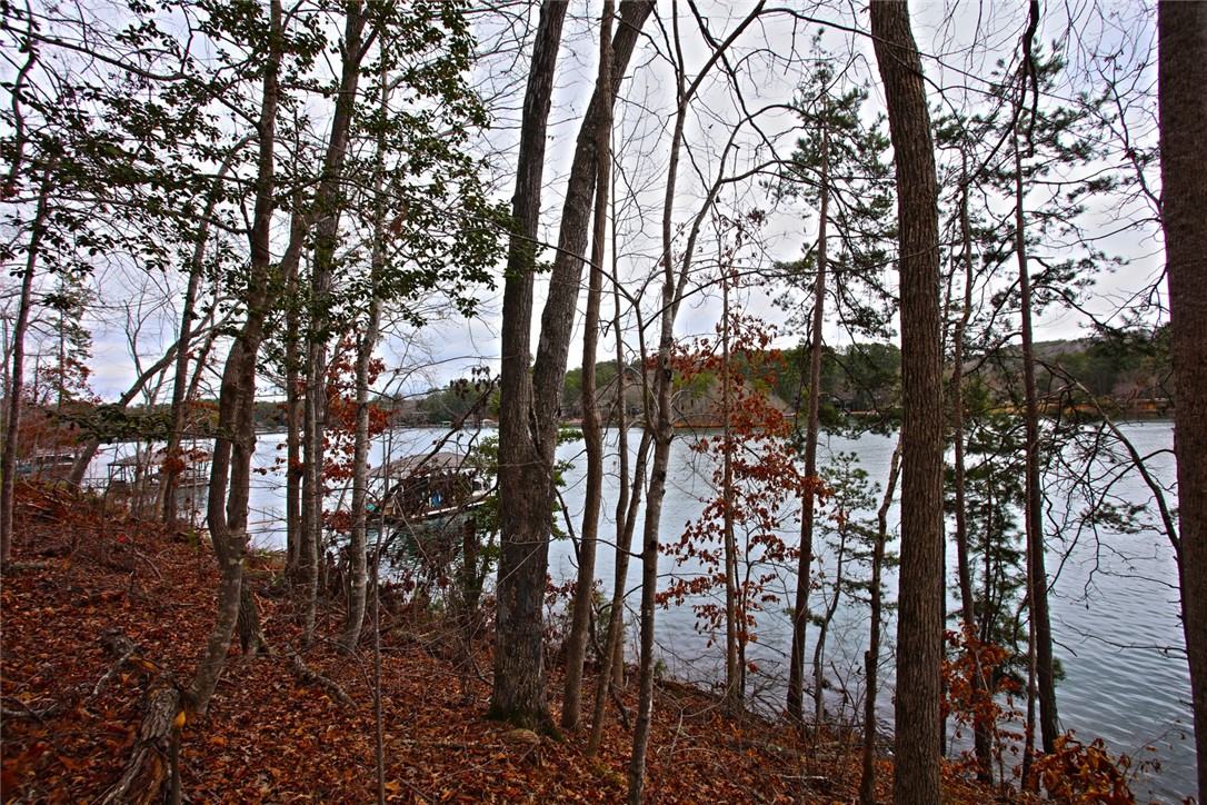 Lot 131 Harbor Point Seneca, SC 29672 - Photo 24 of 48 This scenic waterfront lot offers tranquil views through a canopy of mature trees.