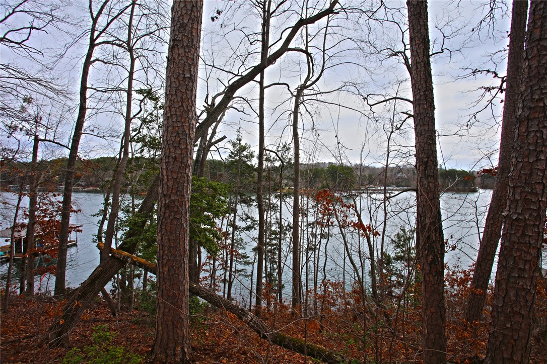 Lot 131 Harbor Point Seneca, SC 29672 - Photo 25 of 48 This tranquil waterfront setting provides a peaceful escape with a natural tree-lined vista.