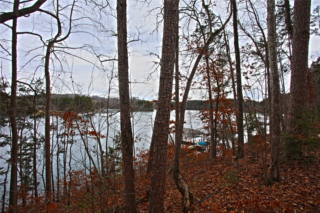 Lot 131 Harbor Point Seneca, SC 29672 - Photo 26 of 48 This tranquil waterfront setting offers direct access to the lake, surrounded by natural woodland.