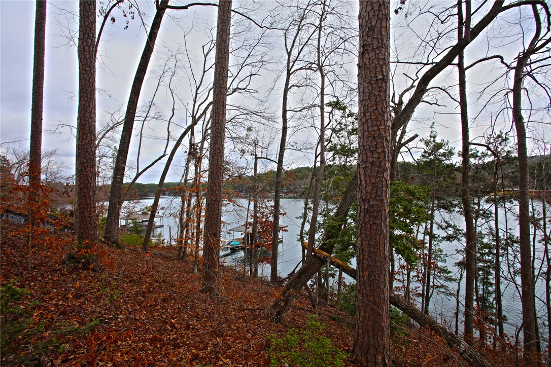 Lot 131 Harbor Point Seneca, SC 29672 - Photo 27 of 48 This lot offers expansive views of the tranquil lake, surrounded by mature trees for ultimate privacy.