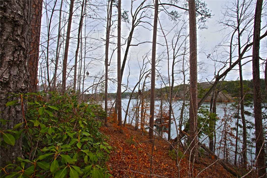 Lot 131 Harbor Point Seneca, SC 29672 - Photo 28 of 48 This serene waterfront lot offers tranquil views through a canopy of trees, ideal for a peaceful retreat.