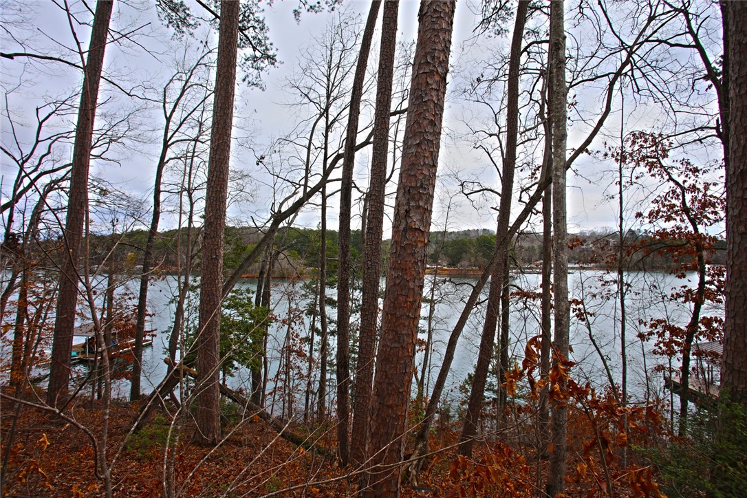 Lot 131 Harbor Point Seneca, SC 29672 - Photo 29 of 48 This tranquil waterfront property offers picturesque lake views through a natural wooded landscape.
