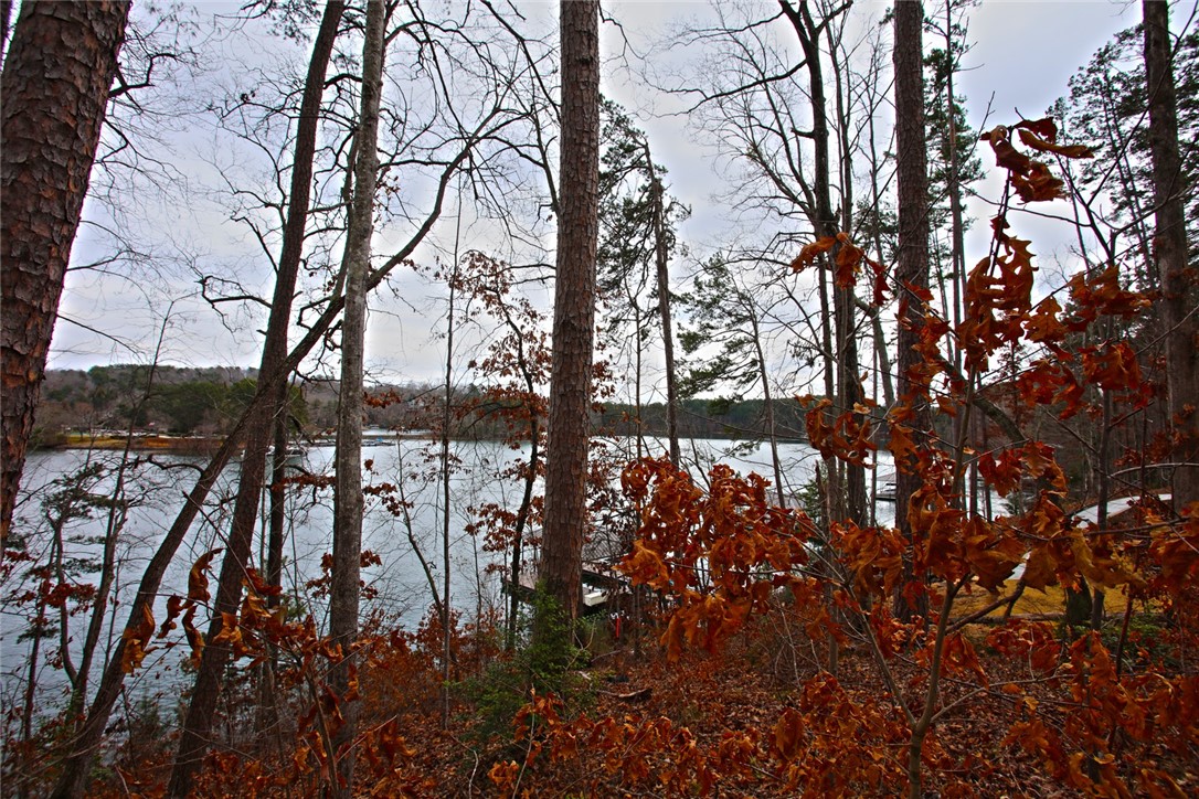 Lot 131 Harbor Point Seneca, SC 29672 - Photo 30 of 48 This tranquil waterfront view, framed by mature trees, offers a serene natural escape.