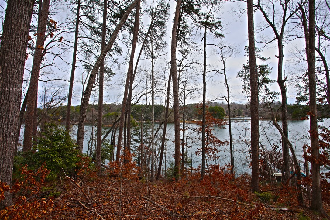 Lot 131 Harbor Point Seneca, SC 29672 - Photo 31 of 48 This serene lakeside property offers tranquil waterfront living, surrounded by mature trees.