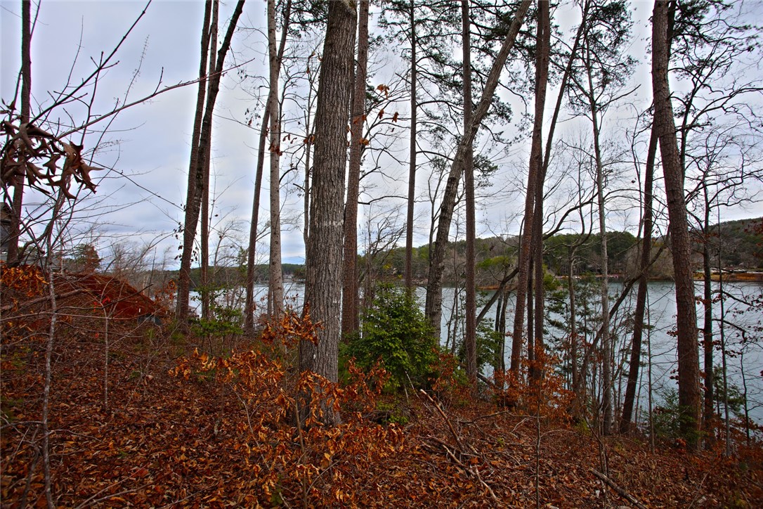 Lot 131 Harbor Point Seneca, SC 29672 - Photo 32 of 48 This tranquil lot offers a serene setting with picturesque lake views amidst mature trees.