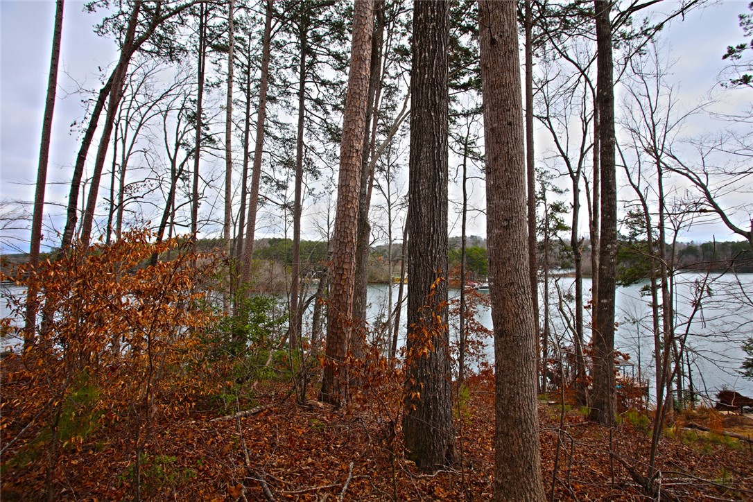 Lot 131 Harbor Point Seneca, SC 29672 - Photo 35 of 48 This serene wooded lot offers direct access to the lake, perfect for building a dream retreat.
