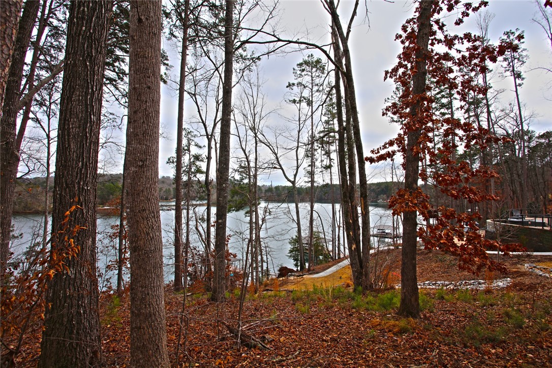 Lot 131 Harbor Point Seneca, SC 29672 - Photo 36 of 48 This tranquil lakeside retreat offers breathtaking water views and natural surroundings.