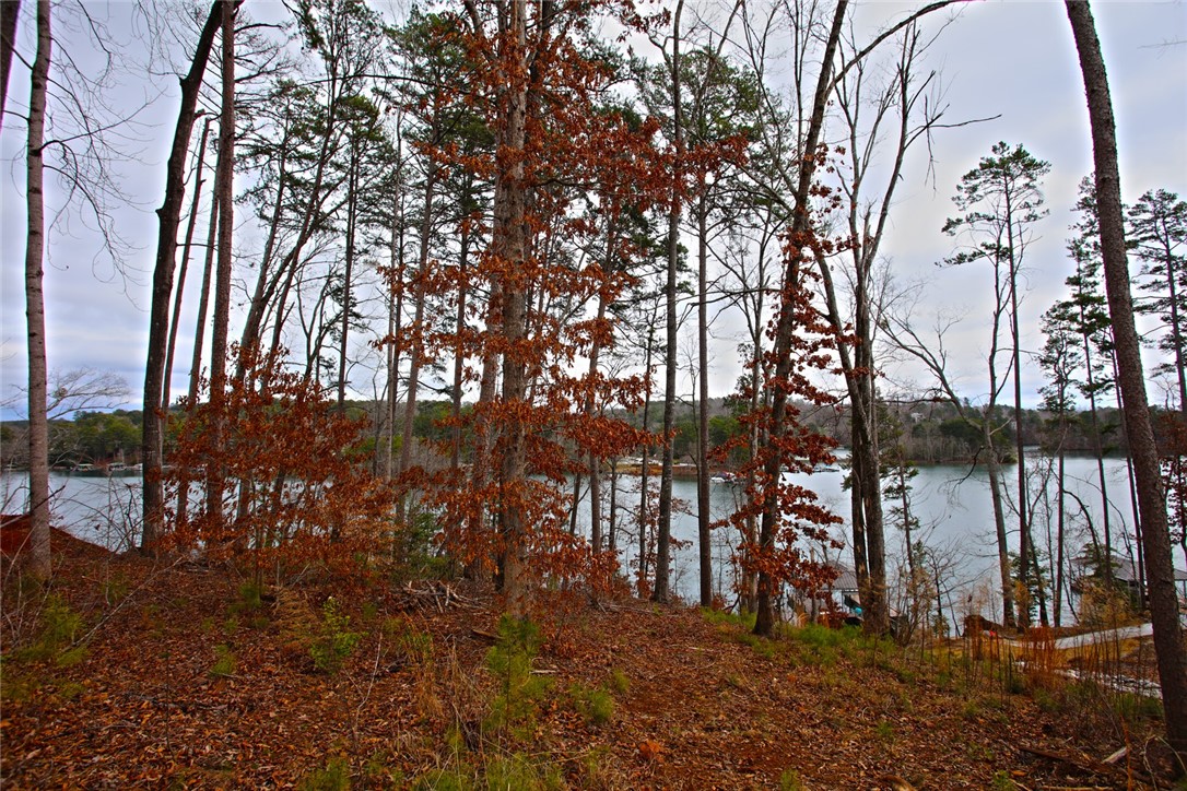 Lot 131 Harbor Point Seneca, SC 29672 - Photo 38 of 48 This serene wooded lot offers direct access to the expansive lake.
