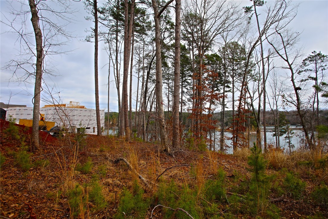 Lot 131 Harbor Point Seneca, SC 29672 - Photo 40 of 48 This lot offers a prime location with water views and natural surroundings for your future home.