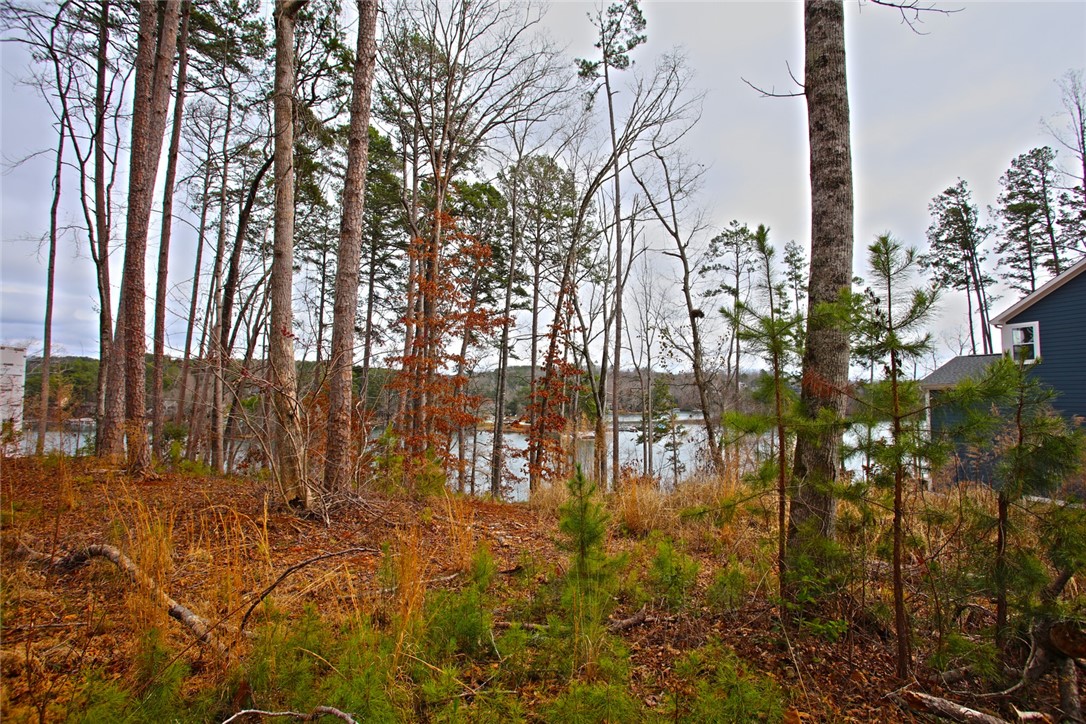 Lot 131 Harbor Point Seneca, SC 29672 - Photo 41 of 48 This lot offers a natural landscape with direct access to a tranquil lake.