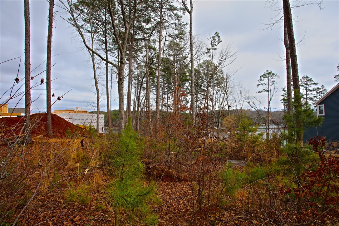 Lot 131 Harbor Point Seneca, SC 29672 - Photo 43 of 48 This lot offers a tranquil setting with ample trees, overlooking the water.