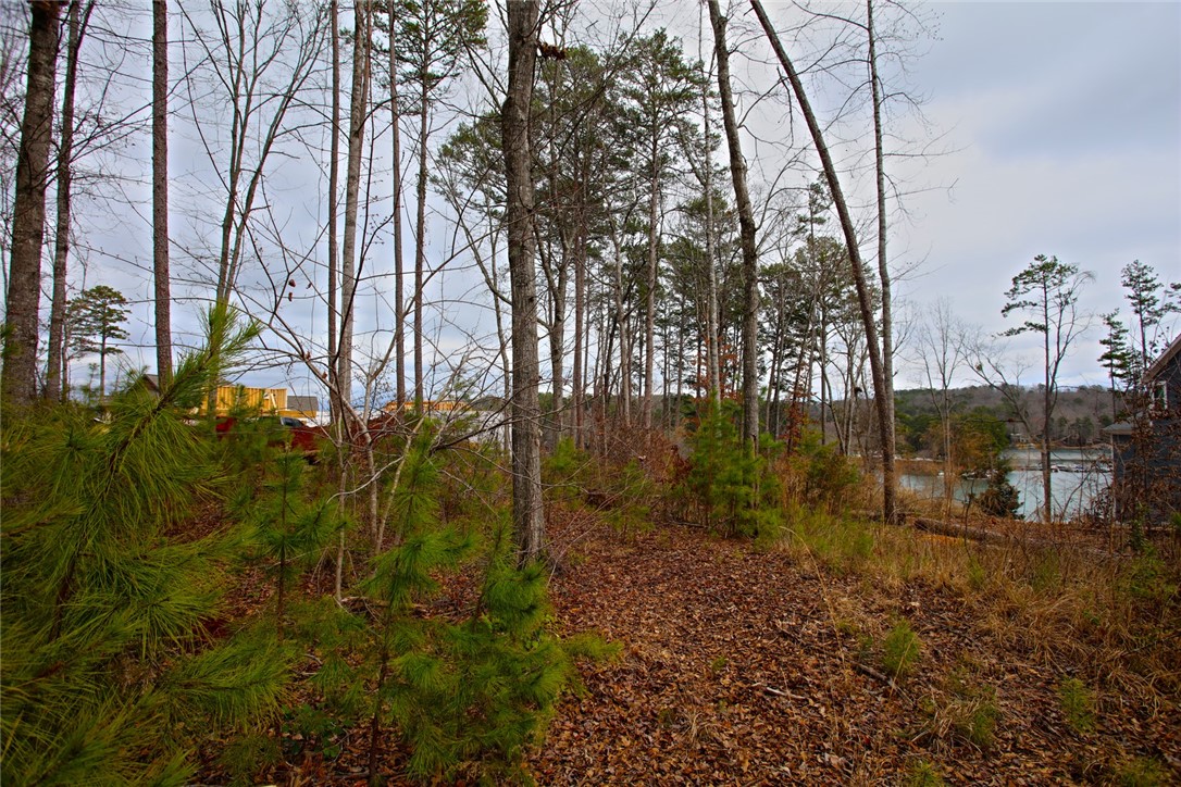 Lot 131 Harbor Point Seneca, SC 29672 - Photo 44 of 48 Lush trees line a spacious, tranquil lot with a picturesque lake in the background.