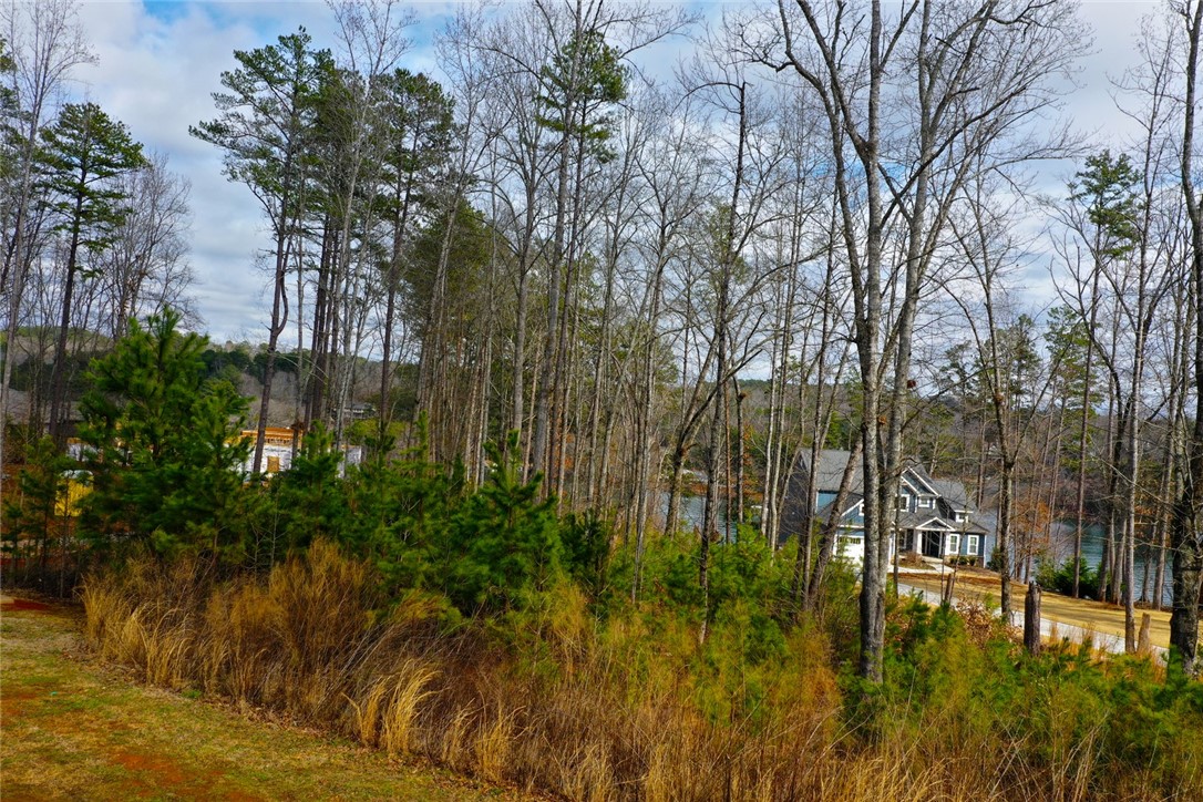 Lot 131 Harbor Point Seneca, SC 29672 - Photo 48 of 48 This secluded lakefront property offers serene views and a tranquil natural setting.