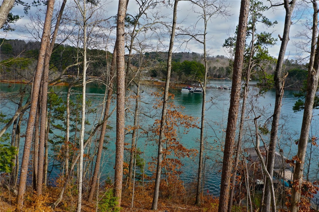 Lot 131 Harbor Point Seneca, SC 29672 - Photo 5 of 48 This tranquil waterfront setting offers serene lake views and a private boat dock, perfect for outdoor enthusiasts.