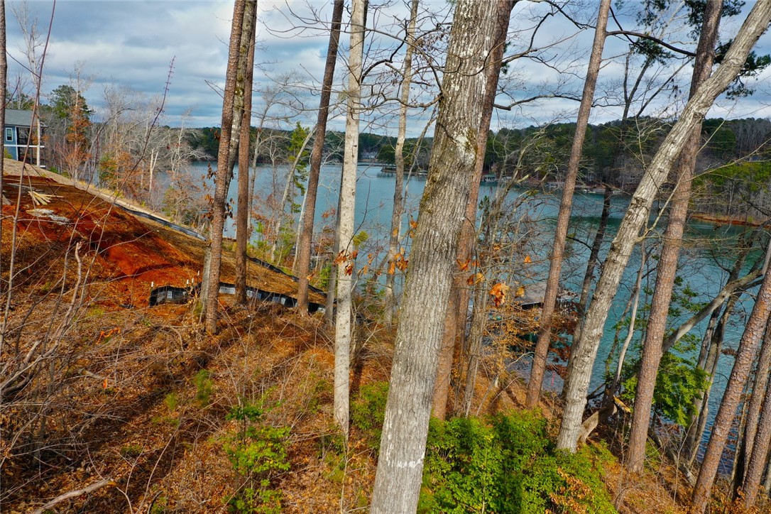 Lot 131 Harbor Point Seneca, SC 29672 - Photo 7 of 48 This serene landscape presents a captivating waterfront view, promising tranquil moments and natural beauty.