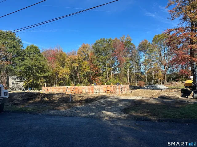 a view of a yard with a tree
