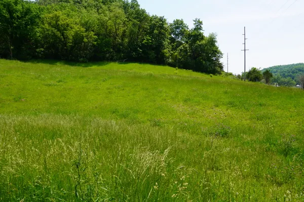 $250,000 | Lot 0 County Road, Boscobel, WI 53805