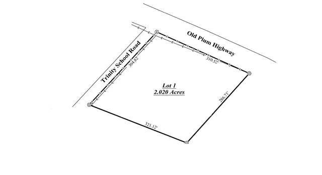 a close up of a wall with a dry white wall